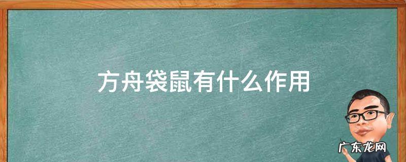 方舟袋鼠的作用 方舟袋鼠有什么作用