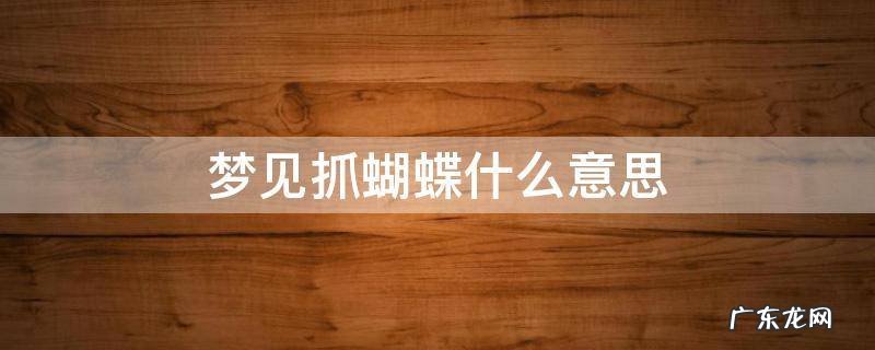 梦见抓蝴蝶什么意思 梦见抓蝴蝶是什么预兆