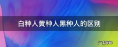 白种人黄种人黑种人的区别照片 白种人黄种人黑种人的区别