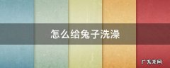 干洗粉怎么给兔子洗澡 怎么给兔子洗澡