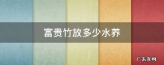 养富贵竹放多少水竹放多少水合适 富贵竹放多少水养