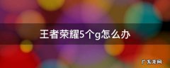 王者荣耀5个g怎么办 为什么王者荣耀内存5个G