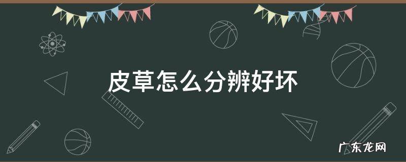 皮草怎么分辨好坏 皮草怎么看好坏