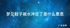 梦见鞋子被水冲走了是什么意思周公解梦 梦见鞋子被水冲走了是什么意思