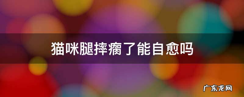 猫咪腿摔瘸了能自愈吗 猫咪腿摔瘸了怎么办
