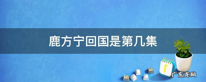 鹿方宁出国是哪一集? 鹿方宁回国是第几集