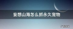 妄想山海怎么捉宠物 妄想山海怎么抓永久宠物