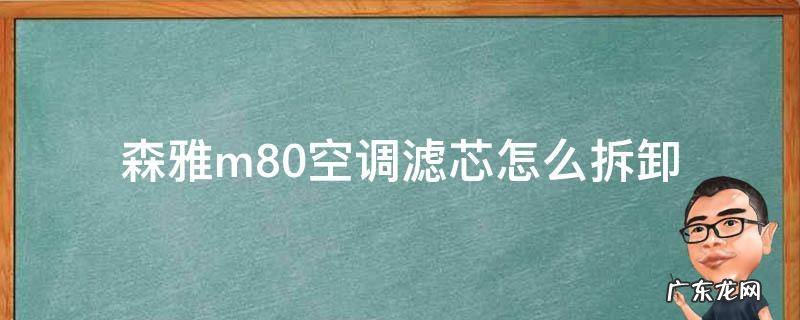 森雅m80空调滤芯怎么拆卸 森雅M80空调滤芯的拆卸方法