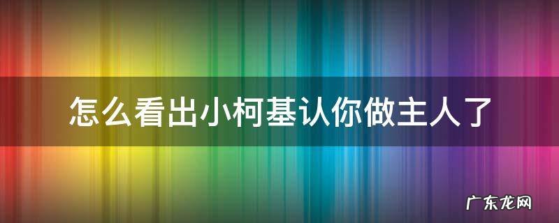 柯基认主人吗跟主人走吗 怎么看出小柯基认你做主人了