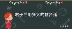 君子兰需要多大的盆子 君子兰用多大的盆合适