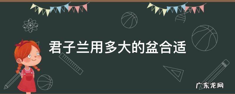 君子兰需要多大的盆子 君子兰用多大的盆合适