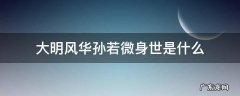 大明风华孙若微身世是什么 大明风华孙若薇身世