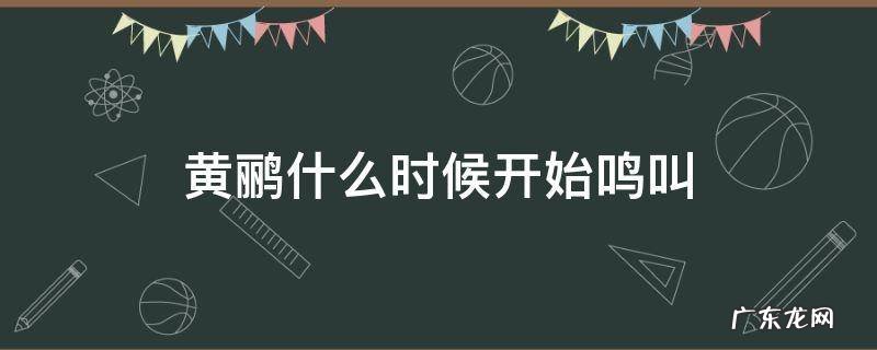黄鹂鸟什么时候开始鸣叫 黄鹂什么时候开始鸣叫