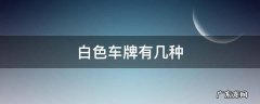 白色车牌有几种ADR756 白色车牌有几种