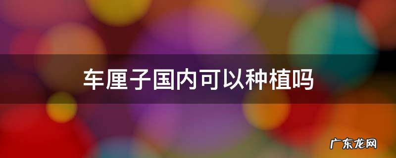 车厘子国内能种植吗 车厘子国内可以种植吗