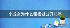 杨过小龙女分开几年 小龙女为什么和杨过分开16年