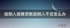 给别人担保贷款后别人不还怎么办 给别人担保贷款后别人不还怎么办理