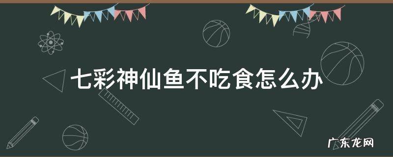 七彩神仙鱼不吃食怎么办 七彩神仙鱼不吃食怎么回事