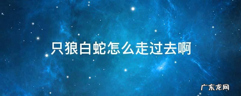 只狼白蛇怎么跳过去 只狼白蛇怎么走过去啊