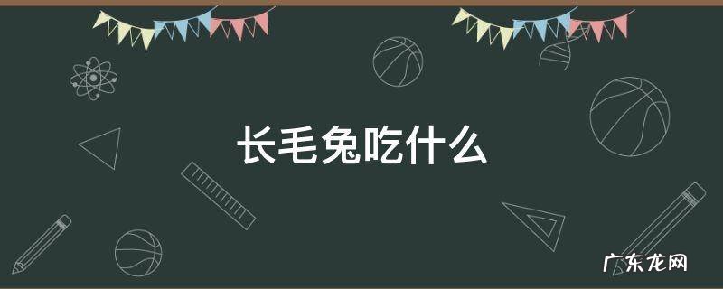 长毛兔吃什么蔬菜 长毛兔吃什么