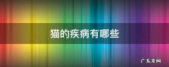 猫的疾病有哪些 猫得病有哪些