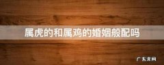 属鸡的配属虎的婚姻会怎样 属虎的和属鸡的婚姻般配吗
