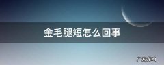 金毛腿短怎么回事 金毛有短腿的吗