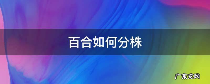 百合怎么分株繁殖 百合如何分株