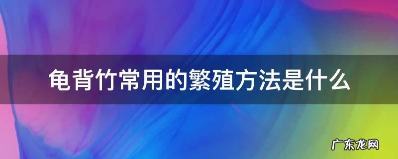 龟背竹常用的繁殖方法是什么 龟背竹的寓意怎样繁殖