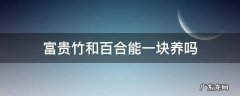 富贵竹和百合能一块养吗 百合可以和富贵竹一起水养吗?