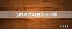 仓鼠一直吱吱吱的叫怎么办 仓鼠吱吱叫是怎么回事