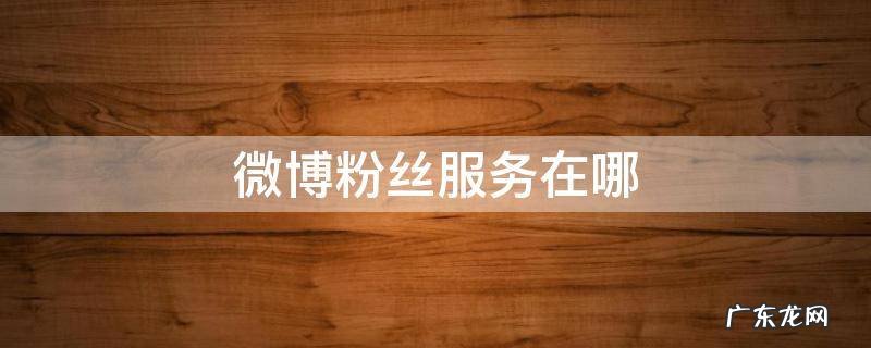 微博粉丝服务在哪里找 微博粉丝服务在哪