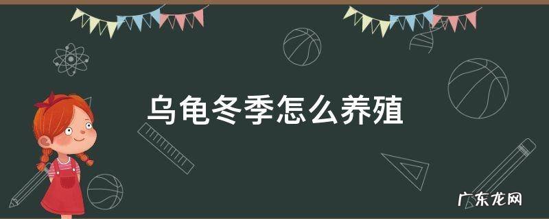 乌龟冬季怎么养殖 乌龟如何饲养冬季