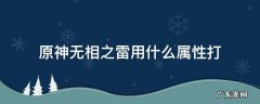 原神无相之雷拿什么属性打 原神无相之雷用什么属性打