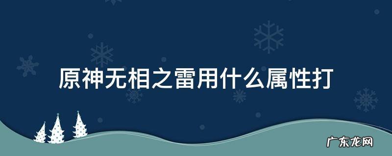 原神无相之雷拿什么属性打 原神无相之雷用什么属性打
