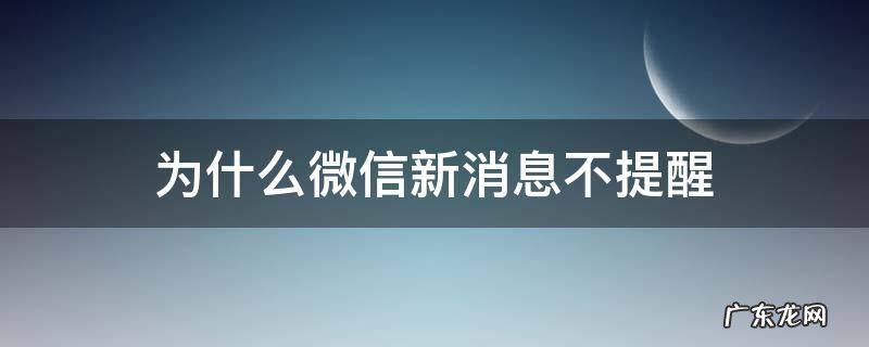微信不提醒新消息了 为什么微信新消息不提醒