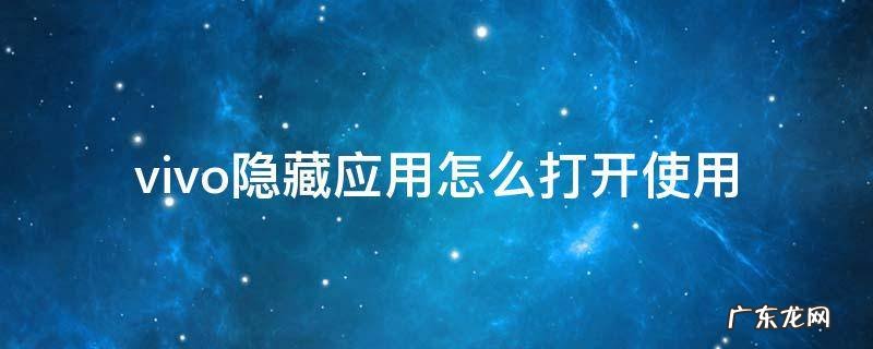 vivo隐藏应用功能怎么打开 vivo隐藏应用怎么打开使用