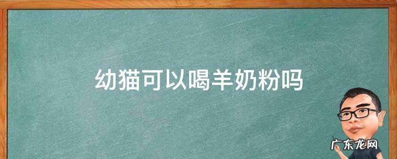 幼猫可以喝羊奶粉嘛 幼猫可以喝羊奶粉吗