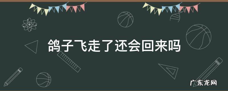 鸽子飞走了还会回来吗 鸽子下蛋了公鸽子飞走了还会回来吗