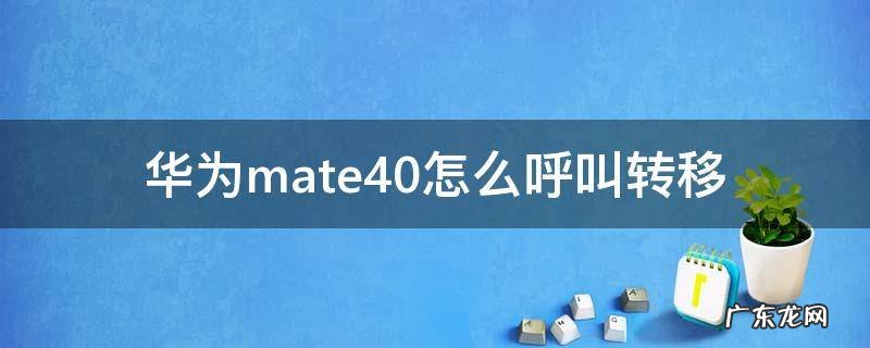 华为mate40怎么呼叫转移 华为mate40呼叫转移在哪里设置