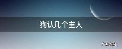 宠物狗认几个主人 狗认几个主人