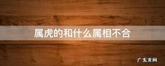 属虎的和什么属相不合 属虎的和什么属相不合作比较好