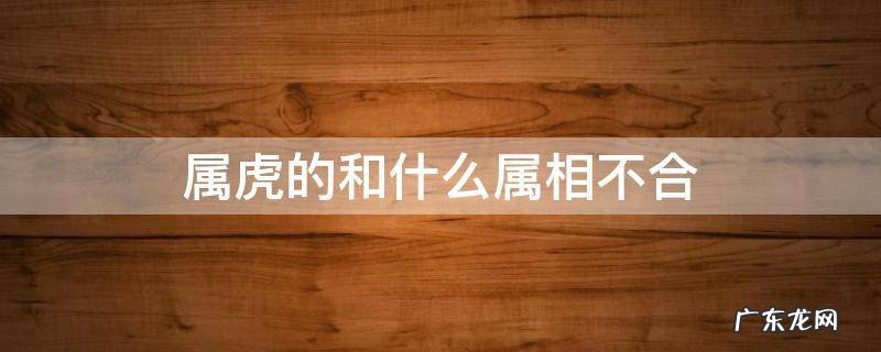 属虎的和什么属相不合 属虎的和什么属相不合作比较好