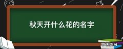 秋天开什么花的名字 秋天开什么花的名字是什么