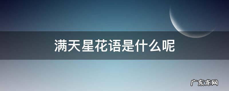 满天星的花语是什么吗 满天星花语是什么呢