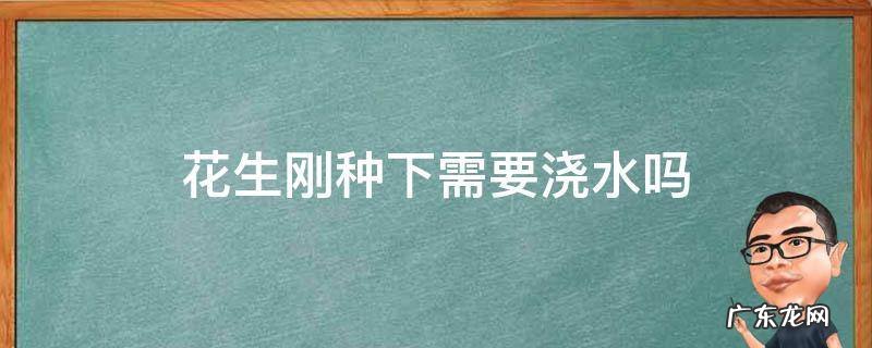 刚种的花生需要浇水吗 花生刚种下需要浇水吗