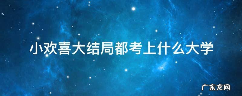 小欢喜结局都考上大学了吗 小欢喜大结局都考上什么大学