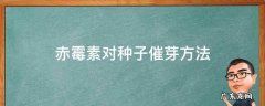 赤霉素对种子催芽方法 赤霉酸催芽种子方法
