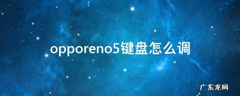 opporeno5键盘怎么调键盘大小 opporeno5键盘怎么调