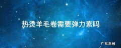 羊毛卷适合用什么样的弹力素 热烫羊毛卷需要弹力素吗